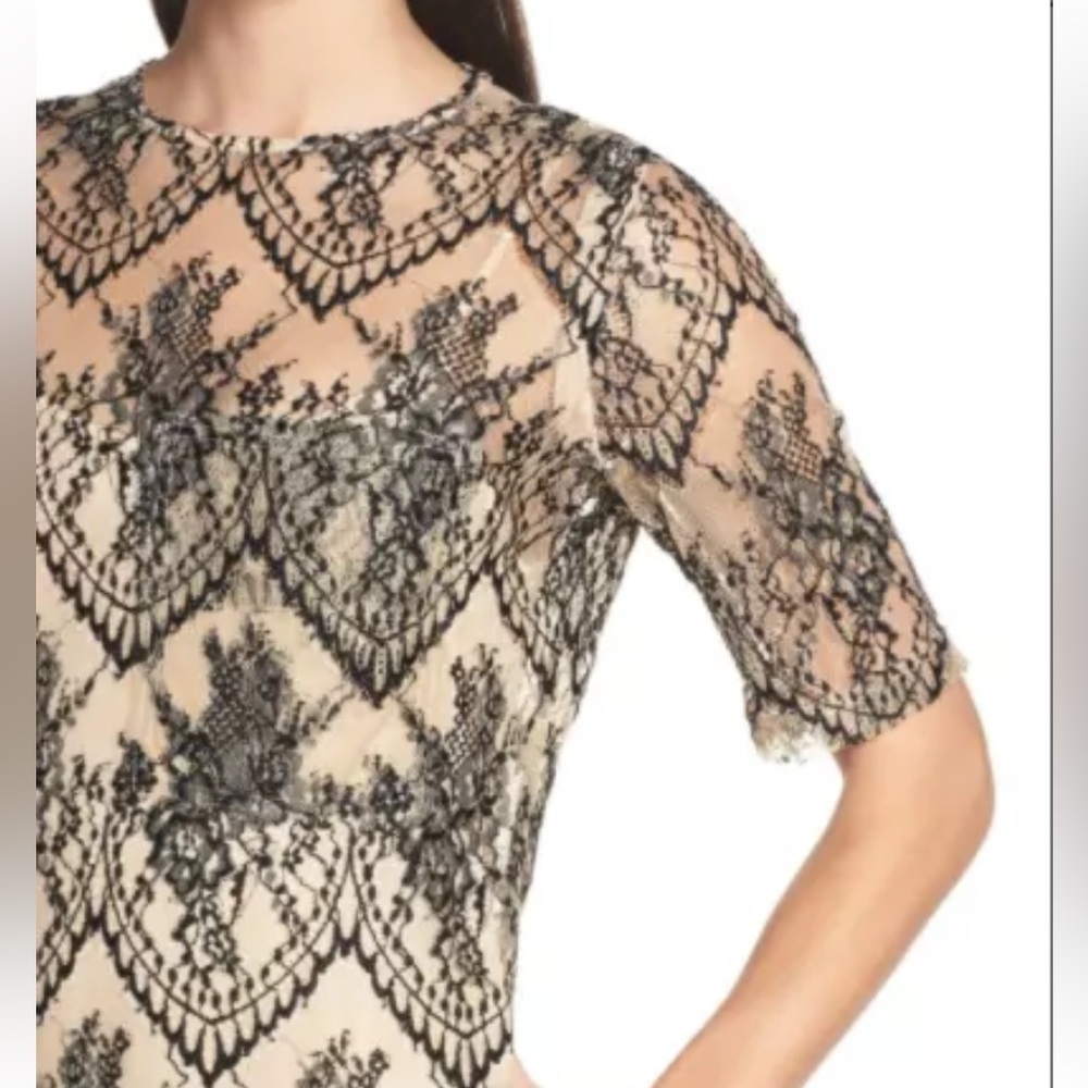 CAARA Nordstrom Scallopd Lace Shift Dress Black Beige Holiday Party Wedding Sz M - Picture 5 of 14